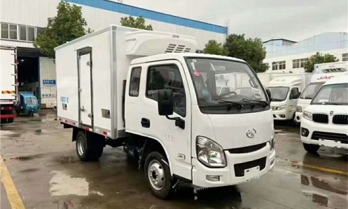 跃进小福星肉钩冷藏车